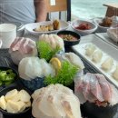 명성회타운 | [영덕 맛집] 영덕 물회 맛집 &#34;명성회타운&#34; (물회/회덮밥) 내돈내산 솔직후기