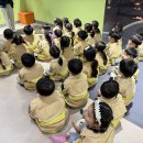 👷🏻‍♂️🦺일상생활 속 꼬옥 필요한 안전체험을 씩씩하게 배우고 왔어요!🧯👷🏻‍♀️ 이미지