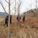 박성철농장 이미지