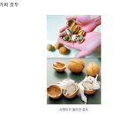 중국인도 끔찍해하는 Made in China “도덕적 마지노선을 넘었다” / 디씨멘터리 이미지