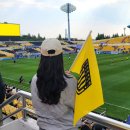 광양축구전용구장 축구전용2구장 | [K리그2축구경기]전남드래곤즈vs성남FC 홈개막전 직관후기/광양축구전용구장/250511경기