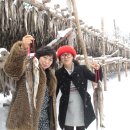 대관령황태이야기 이미지