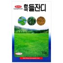 조경나라 | 푸른 정원의 시작! 세인화분 한국 들잔디 10g 잔디 씨앗 하나로 셀프 조경 완성한 후기