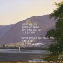 여주-1084 이미지
