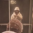 (주)오토허브서비스 | 유모차 9개 비교 후 구매한 줄즈 허브2 용인 베이비하우스