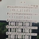 고령초교 | 고령초등학교(고령) 98회