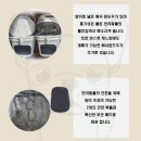 삼화 우수한 동물병원 | 함께하는 발걸음이 더 가벼워지는 마법, 반려동물 분리형 캐리어 유모차 펫신져 모노 고양이 강아지...