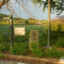 수몰문화미술관 | [충청남도 당진시] 면천읍성 대숲바람길