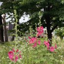 수신닭발 아산온양점 이미지