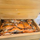 홈플러스스페셜 앞 | 부산 동래 맛집 쿠우쿠우 프리미엄뷔페 내돈내산 가격 주말 후기