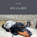 문화하우스 앞 | 하우스노웨어 성수 주차장 주말 입장 강아지 웨이팅 방문 후기