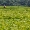 다산1리 이미지