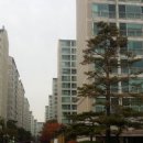 화곡보건경영고등학교 이미지