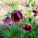 희망대공원 이미지