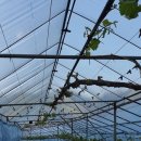 서천군농업기술센터 이미지