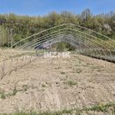 수호부동산공인중개사사무소 이미지