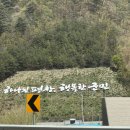 태백산산나물부페 이미지
