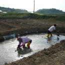 초정농장 이미지