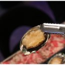 목포낙지 이미지