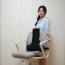 발란스코드 | 의자허리쿠션 추천! 허리쿠션 등받이쿠션 하나로 끝내는 발란스코드 카이로프랙틱 사용 후기