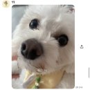 인동유치원 이미지