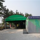 을숙도 자전거 무료대여소 네이버블로그