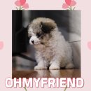 오마이프렌즈 이미지