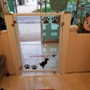 남창애견 이미지