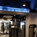 레몬트리짐 이미지