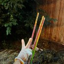 청춘펜션 이미지