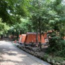 서울대공원 캠핑장 이미지