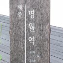 제주명월역