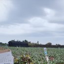 훈이네농장 이미지