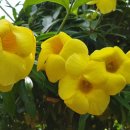 신박사네 이미지