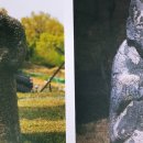 기응세선생묘 이미지