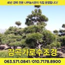 대랑농장 네이버블로그