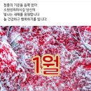 굿모닝 ㅡ추운 날씨에ㅡ감기 몸살이ㅡ유행하네요ㅡ 이미지