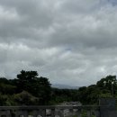 5번로 편의점 | 제주도 올레길 초보자 ‘올레길 5번 코스’ 후기