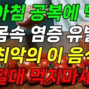 아침 공복 토마토 장단점 올바르게 먹는 법 이미지