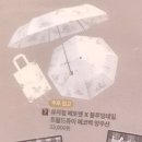 베토벤 | [뮤지컬 베토벤] 뮤지컬 베토벤 후기(스포 없음)(뮤알못)