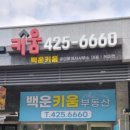 더키움공인중개사사무소 이미지