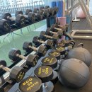 인스타 퍼스널트레이닝 이미지