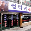 엉터리생고기 이미지