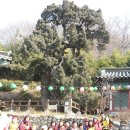 쌍향수길 이미지