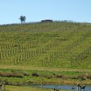 하니농장 이미지