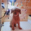 이쁘개(내포신도시점) 이미지