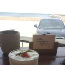 더블루 제주 | 제주 관광객 모드 feat. 후기