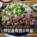 토종흑염소마을 | [대전 유천동 맛집] 초복 맞이 부모님 보양식 한그릇 _'백암골흑염소마을' 솔직 후기