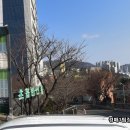 시립도서관 동측 이미지