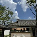 판교 돌잔치 사송 카페 대관 후기(고취소관/고은맘한복/비백스튜디오/이도케익)